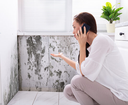 bioPURE™ Indoor Air Quality Solutions